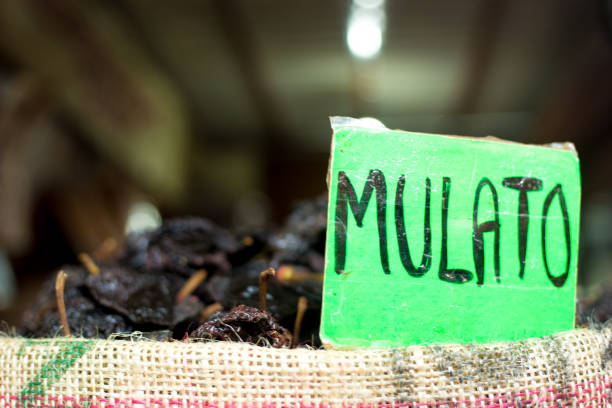 멕시코 오악 사카 : 간판이있는 시장의 mulato chili peppers - mulato 뉴스 사진 이미지