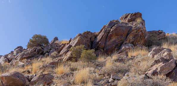 Joshua Tree Is A Popular National Park In California Where People Hike And Rock Climb