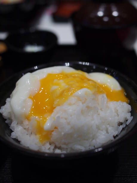 istock delicious Japanese food 2014191514