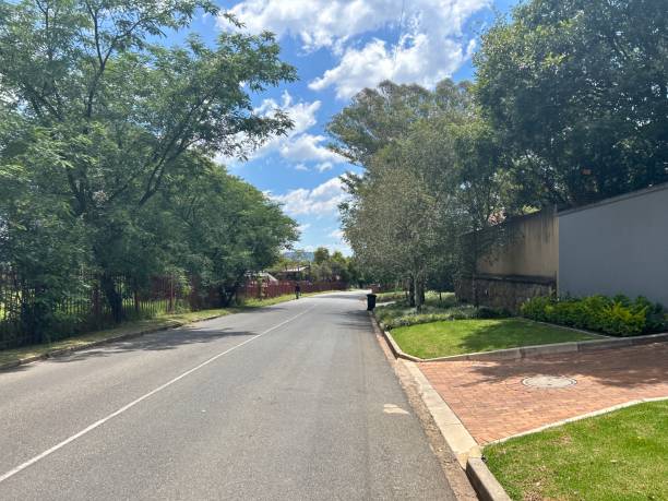 istock Residential road in Rosebank 2014207462