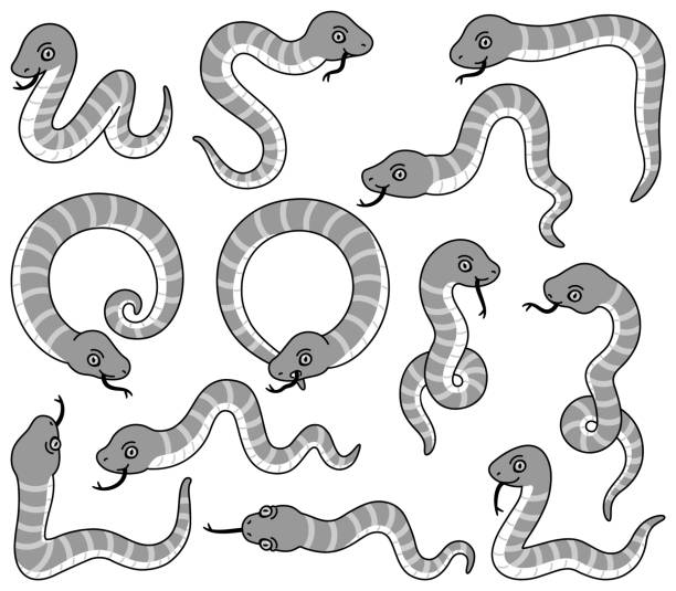 illustrations of snakes in various poses. - white background colors striped part of点のイラスト素材／クリップアート素材／マンガ素材／アイコン素材