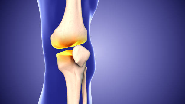 Knee pain and the gap in knee joint Gap in the knee joint or joint space narrowing is overuse of your knee joints ,Arthritis. It also occurs as you grow older. The other common reason is obesity. Extra weight puts extra stress on the knee joint. obese joint pain stock pictures, royalty-free photos & images