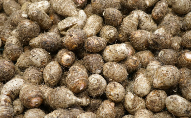 istock fresh raw taro in pile as food background 2014262553