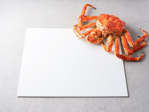 White board with fresh king crab