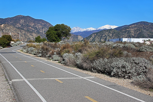 Lush shrubland surround the paved San Gabriel River Bikeway with the steep slopes of the San Gabriel Mountains for the background.