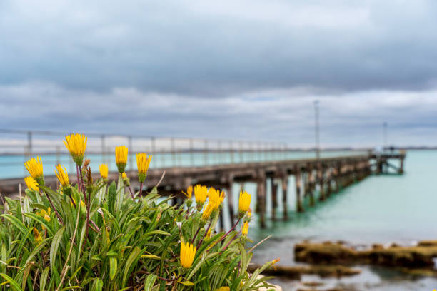 The Robe Jetty in South Australia.
