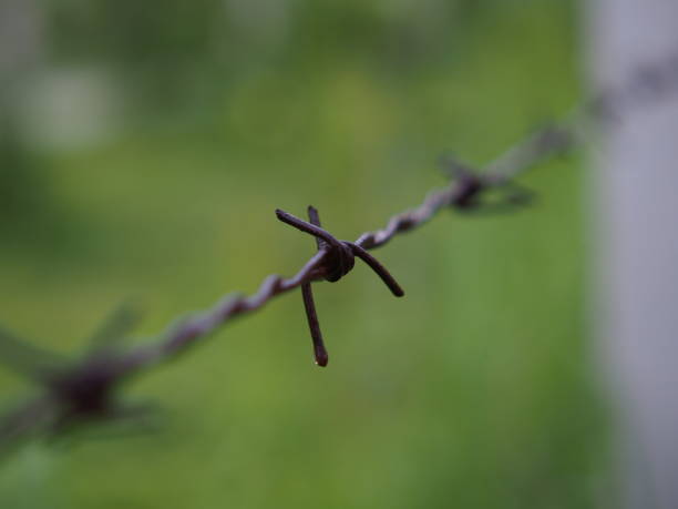 close up nature in asia