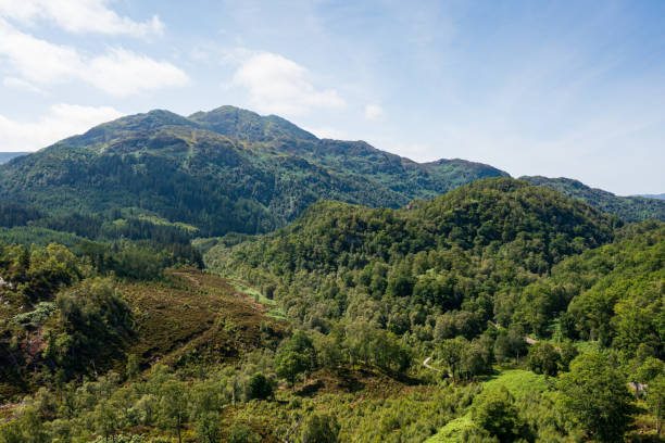istock Trees cover hills in Scotland 2014439678