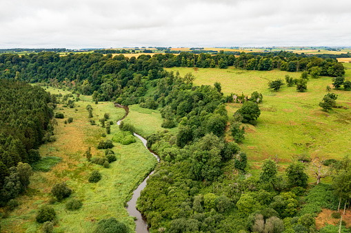 Aerial view of woods, castle, and river at Gight in Scotland
