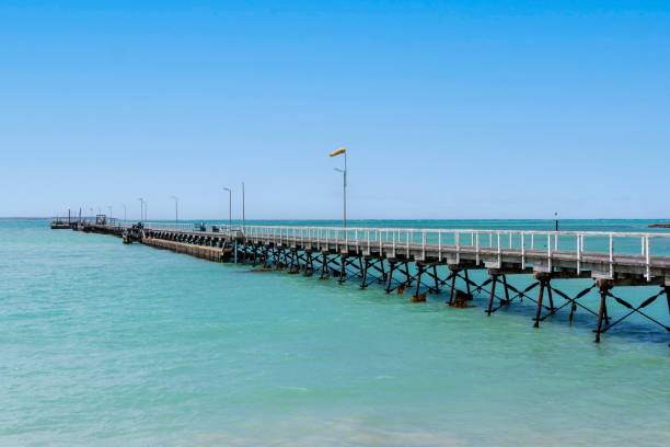 istock Beachport Jetty in South Australia 2014453409