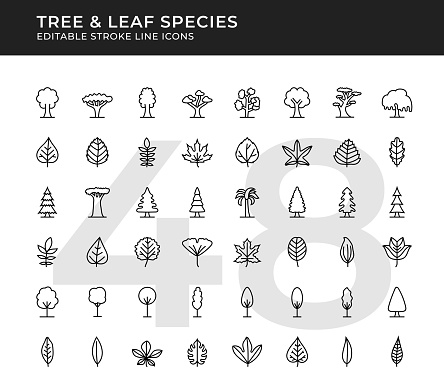 Tree and Leaf Species Editable Line Icon Set. Pixel Perfect. Vector Illustration.