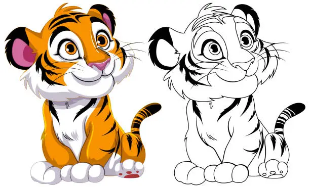 Vector illustration of Two cartoon tigers, one colored and one outlined.