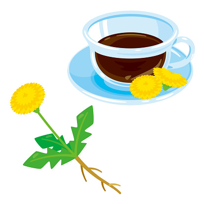 Dandelion and dandelion coffee