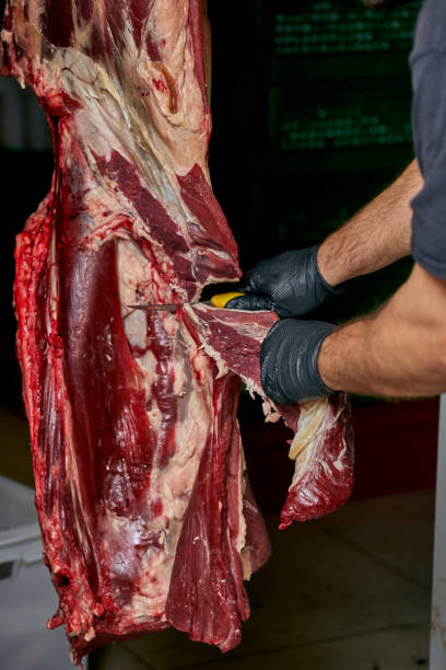 istock Butcher cutting cow meat in storage with a knife 2014555690