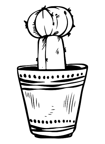 Potted houseplant grafted cactus vector illustration. Succulent outline style. Isolated on white background.