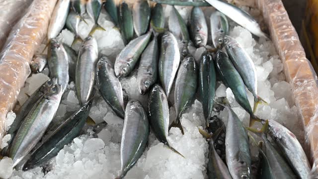 Packaged fish is stored in ice water in a cooler
