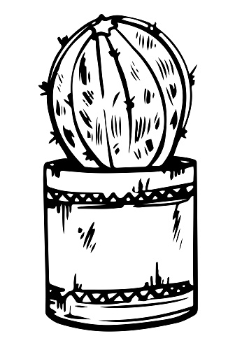 Potted houseplant round cactus vector illustration. Succulent outline style. Isolated on white background.