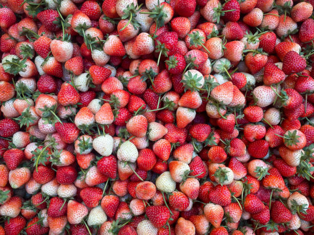 strawberries on a plate on a white background