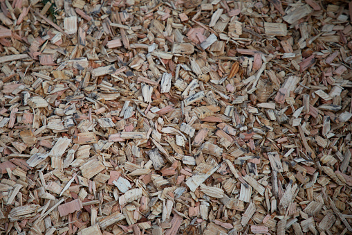 mulching wood chips shavings natural wooden material texture background