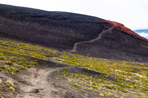 istock In the same Osorno Volcano - Chile 2014664909