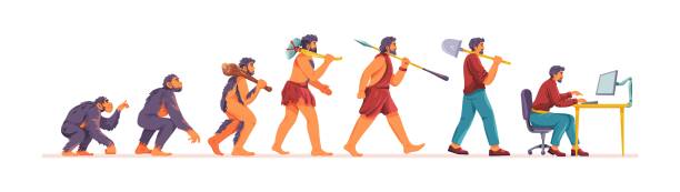 Businessman evolution stages. Human ancestor darwin theory, monkey to ancient man and wealthy capitalist computer worker, history mankind progress vector illustration of human evolution Businessman evolution stages. Human ancestor darwin theory, monkey to ancient man and wealthy capitalist computer worker, history mankind progress vector illustration of human evolution development mankind stock illustrations