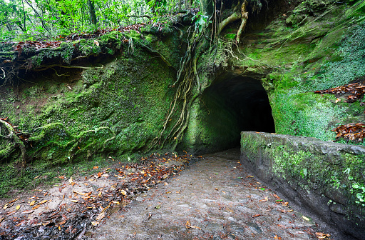 Tunnel on Levada do Caldeirão Verde and Caldeirão do Inferno photo