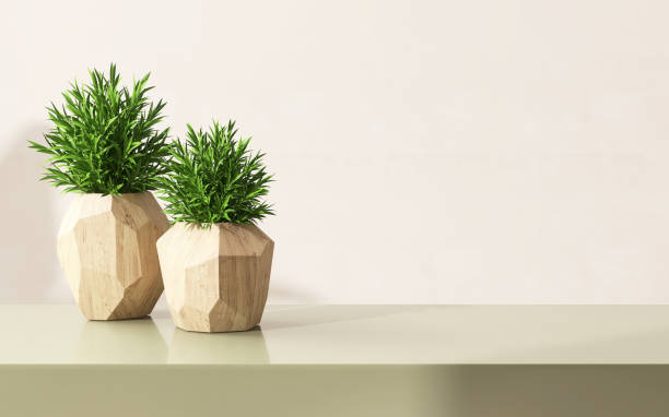 Free Stock Photo of Two Potted Plants on Wooden Table | Download Free ...