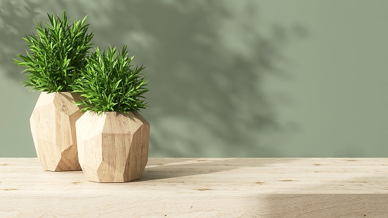Tropical indoor plants in modern design wooden pot on wood table countertop counter in sunlight, shadow on green background for organic luxury beauty, skincare, cosmetic, body care product display 3D