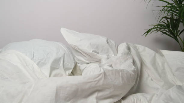 istock White bed linen, green palm leaves. 2014753258