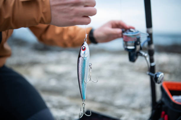26,000+ Fishing Tools Stock Photos, Pictures & Royalty-Free Images - iStock