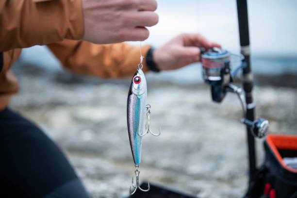 Close-up of man preparing fishing lures for shore fishing. Close-up of man preparing fishing lures for shore fishing.He is getting ready for casting. hook equipment stock pictures, royalty-free photos & images