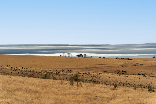 Vast landscape on Kangaroo Island, South Australia