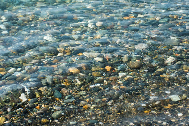 pebble stones on a beach under water