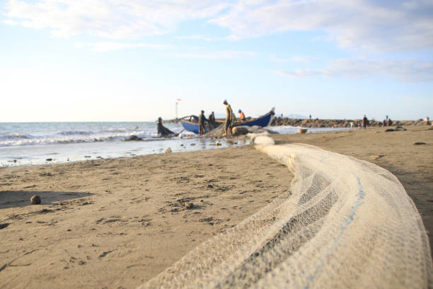 On the coast of Banda Aceh on 08/17/2020,  A group of fishermen from the Javanese village skillfully cleaned their nets. Amidst the sunset ambiance, they employed the traditional method of shore seine to catch fish. Their hands moved skillfully and systematically, clearing debris and repairing the nets. The twilight light enhanced their silhouettes, creating a beautiful portrayal of fishermen's lives deeply intertwined with the sea.