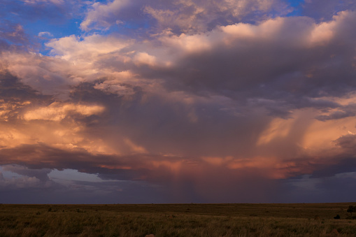 incoming rain storm in the plains of Maasai Mara NP