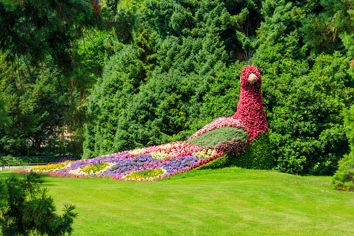 Mainau, Germany - June 28, 2023: Peacock made of flowers on the island of flowers Mainau on Lake Constance, Germany
