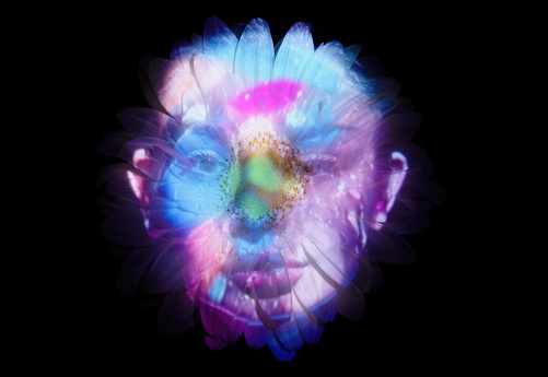 Woman's face projection on a flower.
