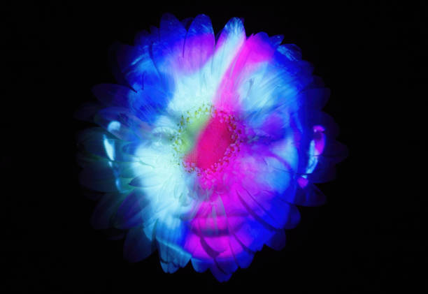 istock Woman's face projection on a flower 2014795030