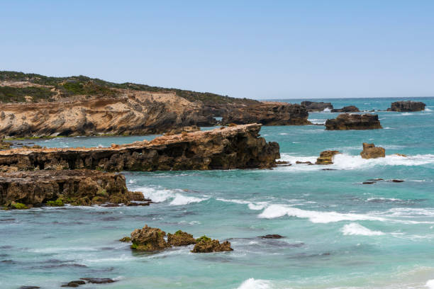 istock The rugged seascape along Cape Buffon Walking Trail, Southend, South Australia 2014796120
