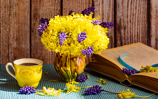Bouquet of yellow primroses and muscari in a vase. Wooden background, book, yellow cup. Blue tablecloth