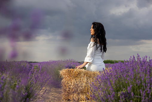 Portrait of a young lovely woman posing in a lavender field with grace.