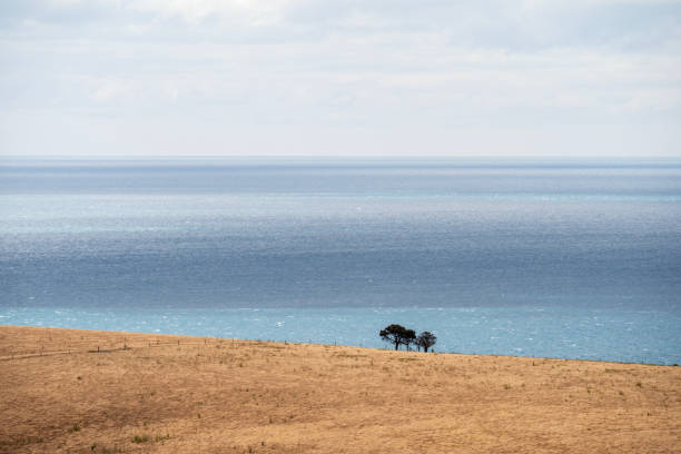 istock Vast landscape on Kangaroo Island 2014833837