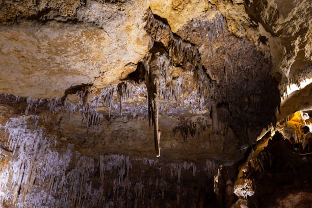 istock Alexandra Cave in Naracoorte Caves National Park 2014835987