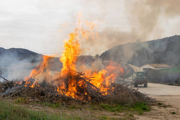Controlled burning of pruning remains in rural areas