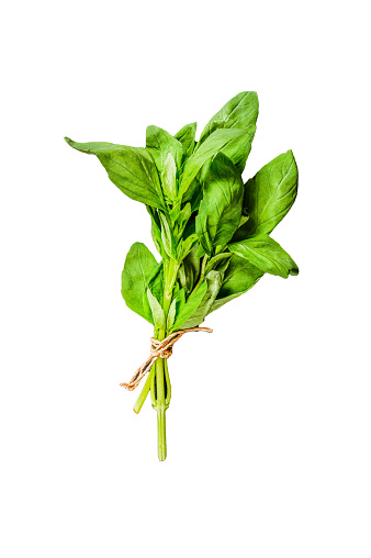 A sprig of Basil  Isolated on white background.  Top view.