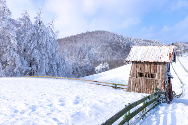 Snowscape in Daegwallyeong, Gangwon-do
