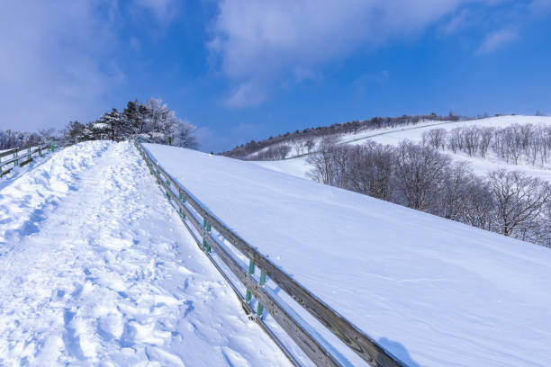 istock Snowscape in Daegwallyeong, Gangwon-do 2014883433