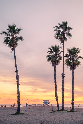 Santa Monica, Los Angeles, California, USA