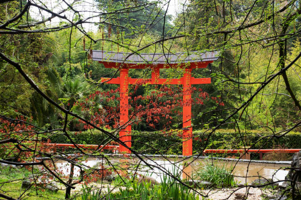 portões decorativos de estilo japonês no parque, arboreto, sochi, rússia. galhos de árvore de fundo com folhagem jovem da primavera na chuva. a paisagem, clima tropical - tree branch tree trunk leaf - fotografias e filmes do acervo