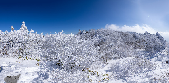 the winter scenery of Deogyusan Mountain